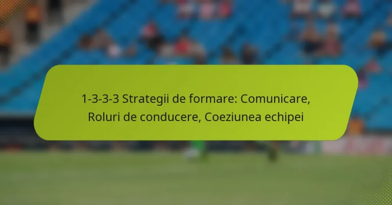 featured-image-1-3-3-3-strategii-de-formare-comunicare-roluri-de-conducere-coeziunea-echipei